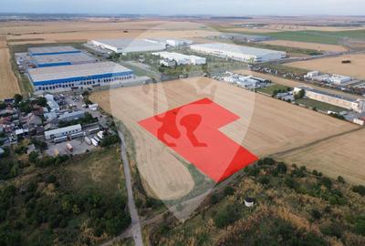 Teren intravilan 19.999 mp | Deschidere 175 m | Popești-Leordeni - 1