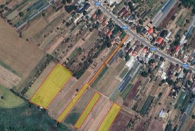 Teren agricol intravilan de 12000 mp, în Adunații-Copăceni