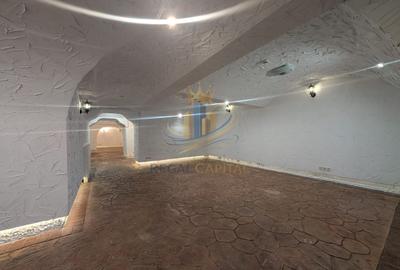 Spatiu comercial / Vilă 472mp utili / Băneasa / Sisesti - 15