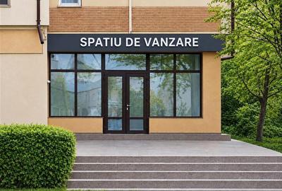 Spatiu Comercial Nicolina La Bulevard - 1