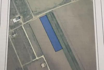 Teren agricol intravilan de 500 mp, în Berceni