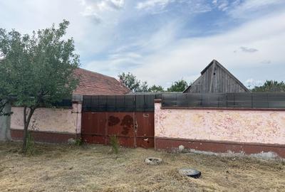 Casă de vânzare – Sântana - 19