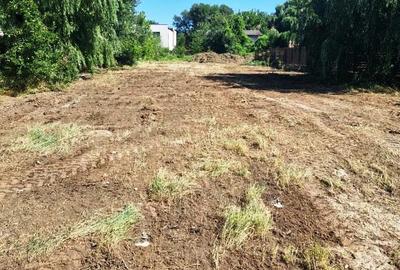 Teren agricol intravilan de 1000 mp, în Tunari