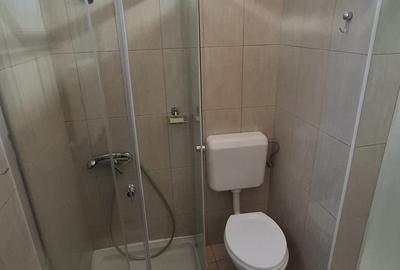 GARA DE NORD (Spitalul Witting)- 2 apartamente, 6 camere, vila solida renovata! - 28