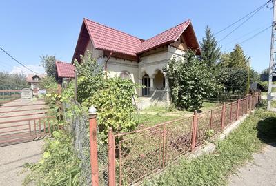 Casa interbelică cu arhitectură deosebită+Anexa și teren 1570 mp - 31
