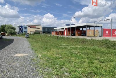 Teren de 712 mp de inchiriat cu acces auto la asfalt, calea Lugojului - 6