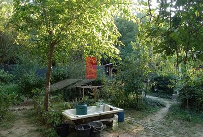 Vânzare teren intravilan Dărăști-Vlașca - 3