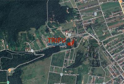 Teren Construcții intravilan de 3042 mp, în Ampoi 1