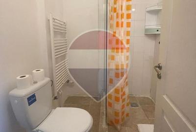 Apartament 4 camere zona Piata Unirii-Centrul Istoric - 9