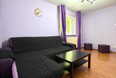 Apartament Mobilat /  Contract ANAF / Bloc Anvelopat / Pasajul Doamna Ghica - 18