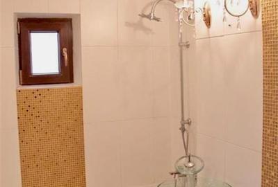 Apartament 3 camere Zona PALAS (etaj intermediar) - 6
