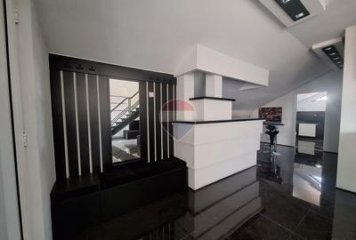Descoperă un studio exclusivist la vila pe Calea Turnișorulu - 3