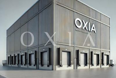 AX1132 Calea Sagului, Platforma Industriala, 7.387 MP - 1