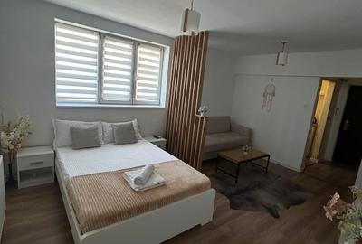 Garsoniera de vanzare complet renovata / Stefan Cel Mare / Direct propietar - 4