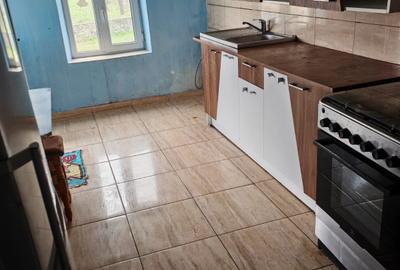 Casă bătrânească + Teren generos 4.208 mp – Cerna, Tulcea (Toate utilitățile) - 3