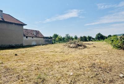 Casa cu 5 camere - teren 4300 mp – loc. Seica Mare - 8