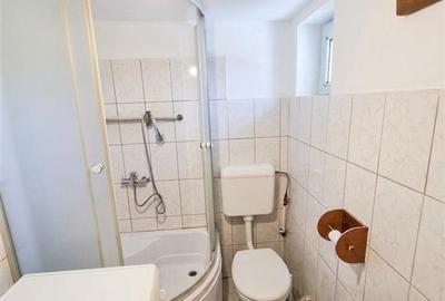 RECO Teren mare cu 2 case in Sabolciu, com. Sacadat - 7