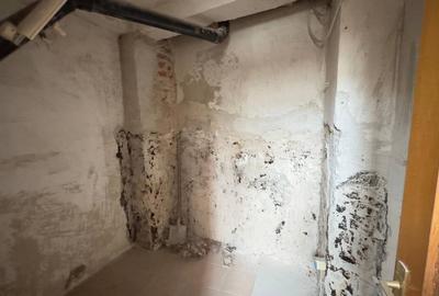 Vila cu 4 camere D+P+1 | Piata Unirii | Bd. Marasesti | 2 locuri parcare - 29