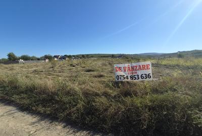 Cercu , Strada Hotarului , 3 km de cartier Visoianu , 16.500 euro - 11