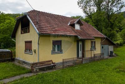 Casă individuală cu 6 camere în Crișan