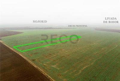 RECO Teren extravilan 5800 mp Livada de Bihor - 1