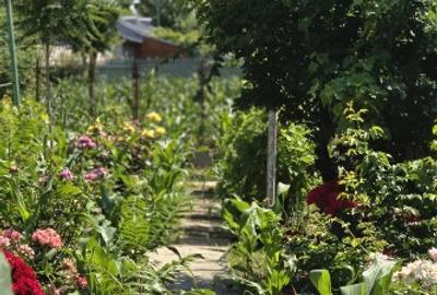 Casa cu teren 1111 metri patrati 39500 euro. Independenta, Galati - 2
