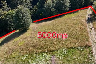 Teren 5000 mp, pretabil cabana de weekend, Sinca Noua - 4