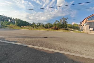 Teren intravilan 1.600 mp Mioveni – Zona Pruni - 3