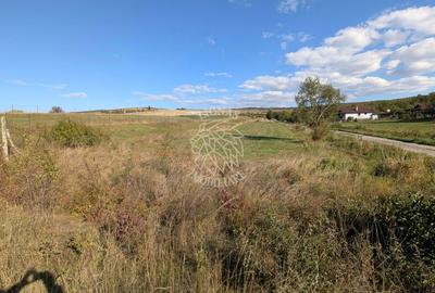 Teren 2800 mp-ideal investitie-Zona Cighir - 1