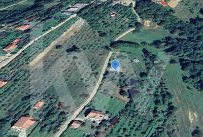 Teren Intravilan 977 mp de Vânzare în Cisnădioara – Locație de Poveste - 10