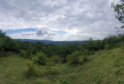 Teren intravilan – 9.000 mp, sat Ogretin, comuna Drajna, jud. Prahova - 6