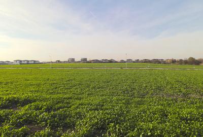 Lot 608mp In Rate Com Berceni | utilitati: curent gaz asfalt | #SG1 - 13