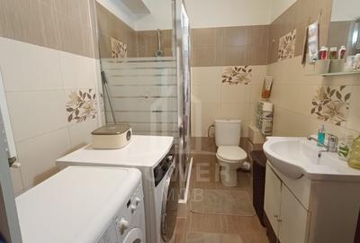 Apartament cu doua Doamna Stanca - 4