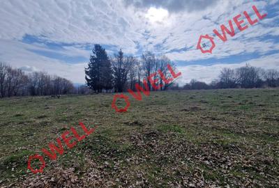 De vânzare teren extravilan în localitatea Brădet! - 8