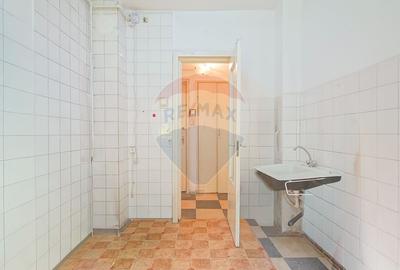 SPATIU COMERCIAL DE INCHIRIAT | CENTRUL ISTORIC | PIATA TEATRULUI - 17