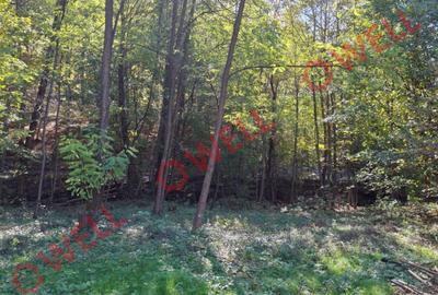 De vânzare un teren intravilan de 2.149 m² în Sovata, pe strada Vânătorilor - 6