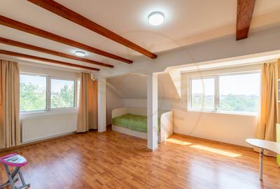 Apartament pe 2 nivele -  6 camere Gavana 3 + 309 mp curte proprie - 8