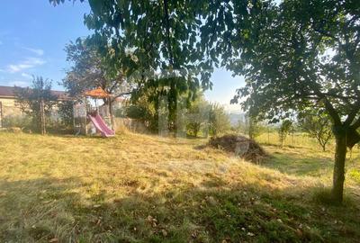 Casa Individuala, 170mp, 1000mp gradina, pet-friendly, Dambul Rotund - 2
