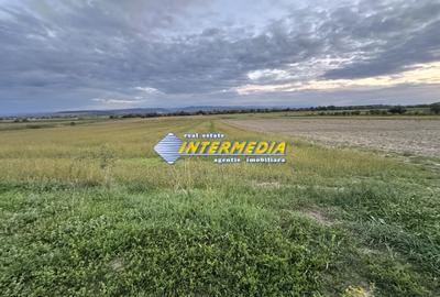 OKAZIE ! 2300 mp. Teren Intravilan Mereteu lat 22 m toate utilitatiile in fata - 3