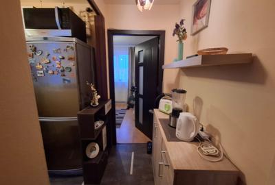 Drumul Taberei - Raul Doamnei - Apartament 2 camere -  Modern - 9