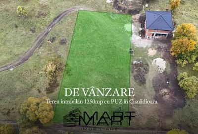 Teren Construcții intravilan de 1255 mp, în Cisnădioara