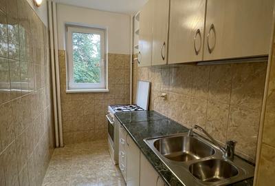 Camil Ressu, Park Lake, Piata Ramnicu Sarat - 1