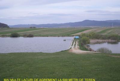 Teren ideal ferma, pt dezvoltare agricola, proiect fotovoltaice - 8