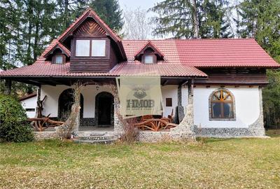 Refugiu rustic in natura – proprietate deosebita in Valea Avrigului – Sibiu - 27