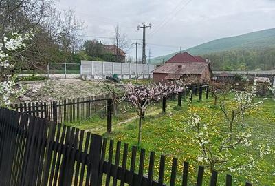 Casa cu 3 camere, 150 mpu, mobilata, utilata, garaj, curte, Ampoita - 20