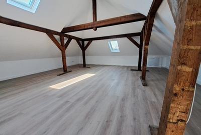 Dorobanti(capitale), spatiu de inchiriat, vila reprezentativa, 215 mp, terasa - 17