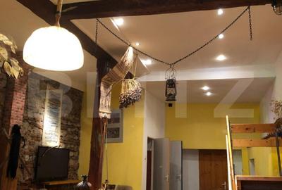 Proprietate cu 2 corpuri de clădire – ideală pentru pensiune sau locuință - 4