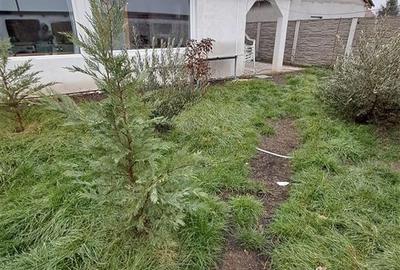 Casa Individuala Noua la 30 km de Timisoara - 19
