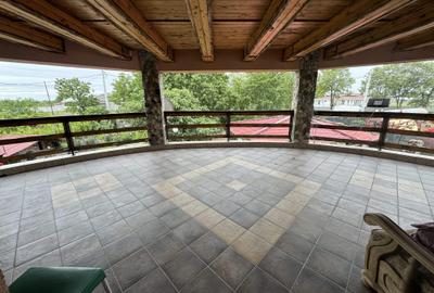 Vila P+1, supraf. desf. 510 mp., teren 1000 mp, Radomiresti - 19