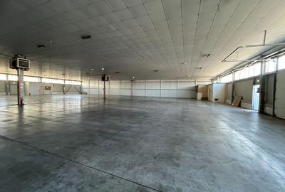 Spațiu industrial disponibil pentru închiriere în Timișoara, Calea Lugojului - 5